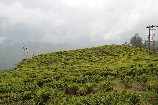 Tour image 9