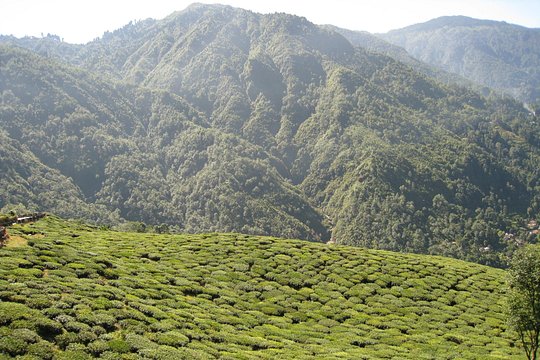 Tour image 12