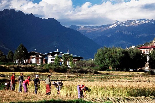 Tour image 11